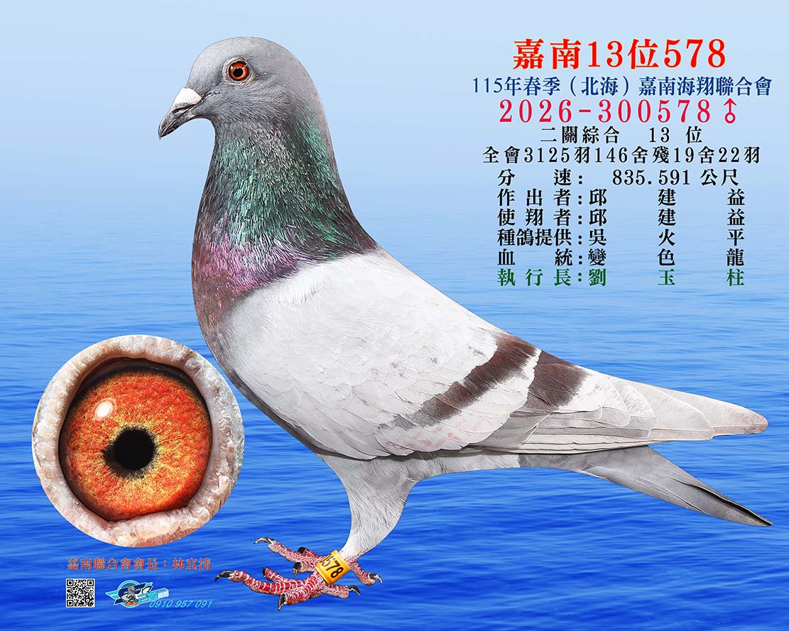 嘉南13位578