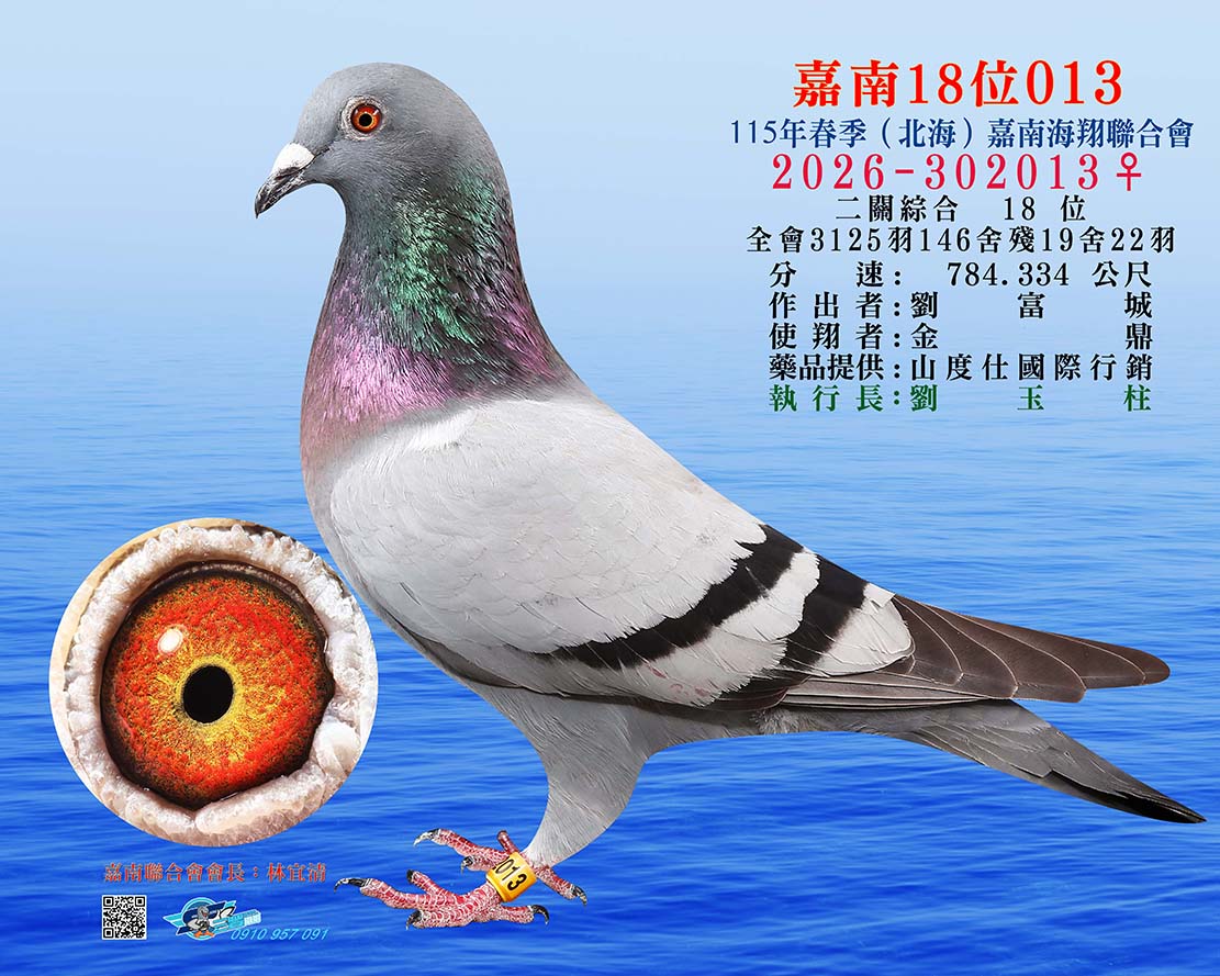 嘉南18位013